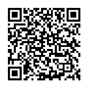 随便一匹料子都能买帝都的一处宅子……可现在二维码生成