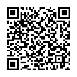 随便什么阿猫阿狗都可以去当访问学者客座教授的二维码生成