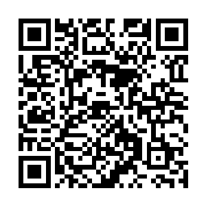 随便去冒充一个普通驭兽师的话应该一点问题也没有了二维码生成