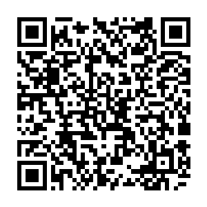 随便找一个地方就能集齐数百万的大军将云家那点叛乱力量斩成狗肉之酱二维码生成