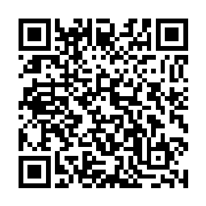 随便找个地方一挖都是能够挖出一样价值连城的宝贝二维码生成