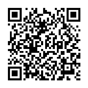 随便找个山林边缘的犄角旮旯浅浅地把尸体一埋就撤二维码生成