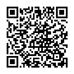 随便拿出一样恐怕都足以令不少天武境界的高手抢破脑袋二维码生成