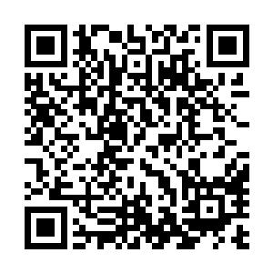 随便拿出一样都绝对能够让整个神武大陆掀起一场绝世风暴二维码生成