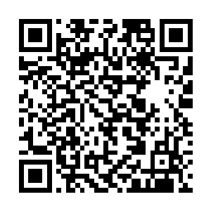 随即一个巨大的身影直接出现在了龙傲天的视线之中二维码生成