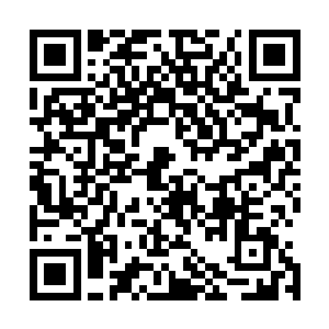 随即一只拇指指甲大小散发着荧光的小东西从里面飞了出来二维码生成