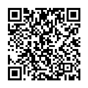 随即一股强大的杀意再一次从两个人身上涌现了出来二维码生成