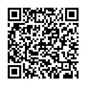 随即一颗血族手雷突然如无中生有般出现在他脚边二维码生成