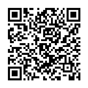 随即丁叮也是煞有兴致的让家里面的人穿好了衣服二维码生成