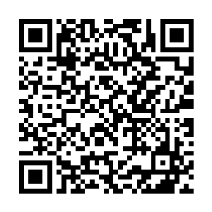 随即丁羽也是微微的探头在莎莎的脖子边吸了一口气二维码生成