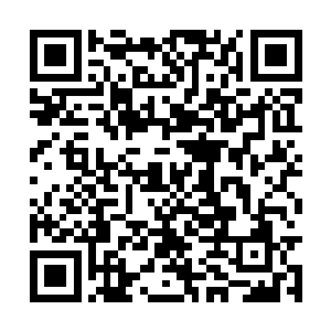 随即两个全副武装的两名重装警察直接的就上手了二维码生成