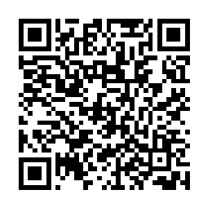 随即也发现了自己刚才撞的女孩竟然是当红大明星苏洛二维码生成