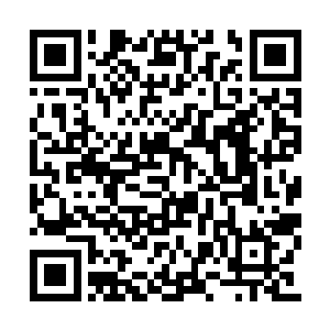 随即也是夹了一些菜放到了侄子面前的盘子里面二维码生成