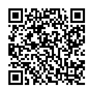 随即也是对不远的一个妇人和年轻人招呼了一下自己的手二维码生成
