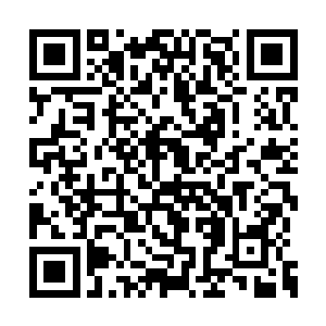 随即也是看见一个中年人来到了丁羽的身边位置二维码生成