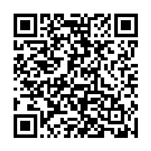 随即从自己的手腕上面解下来一条链子给婉婉带上了二维码生成