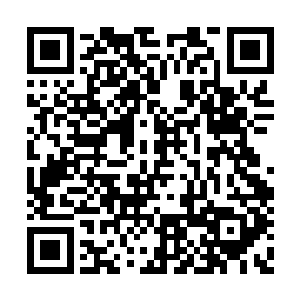 随即他的意识就离开了意识海之中的万想天世界二维码生成