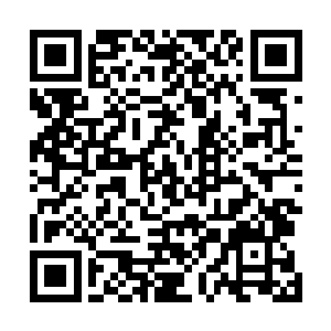 随即仿佛一个超级无底洞一般疯狂的开始吞噬起雷罚之力二维码生成