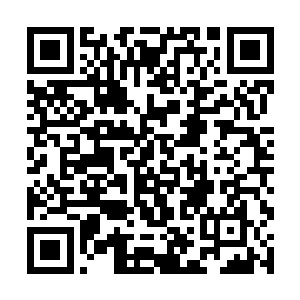 随即全都有些后怕的看着墨手里来回玩弄着的那手雷二维码生成