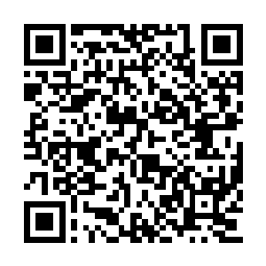 随即卢明也是从自己的手包里面拿出来一张支票二维码生成