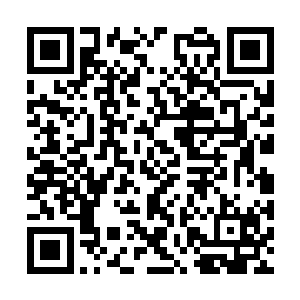 随即另一个看起来五大三粗的壮汉摸了摸后脑勺问二维码生成