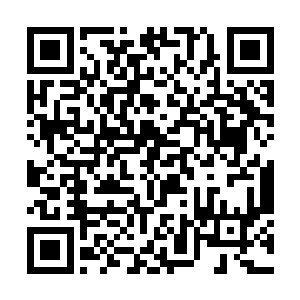 随即只见九条龙魂身上的光芒也瞬间变得黯淡了不少二维码生成