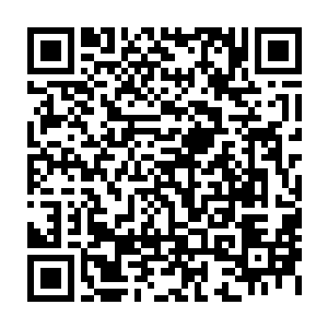 随即只见凤鸣带着四个九劫虚神境界的高手直接来到了杨戬两个人的面前二维码生成