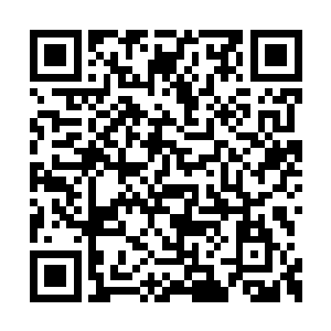 随即只见天空里有着许许多多的灵材与丹药出现二维码生成