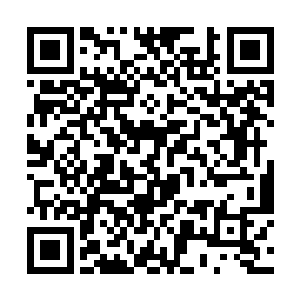 随即只见那个偌大的鼎宇内有着熊熊金色火焰在跳跃二维码生成