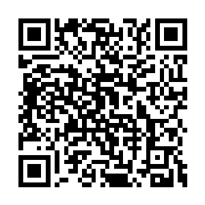 随即只见龙傲天不远处的一棵大树瞬间炸裂开来二维码生成