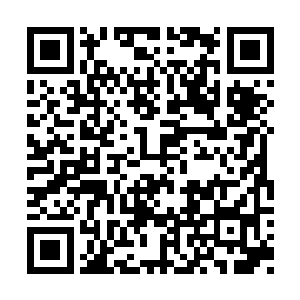 随即将对方手中已经断成好几半的牌位取了过来二维码生成