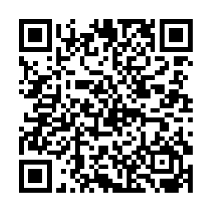 随即就看见冲上前去的年轻人直接的就倒着飞了回去二维码生成