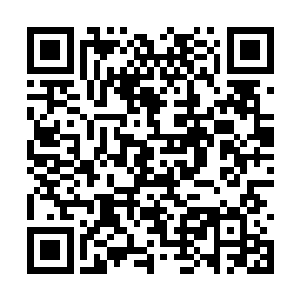 随即就看见钟鼎书直接的把一瓶酒给捞在了手里面二维码生成