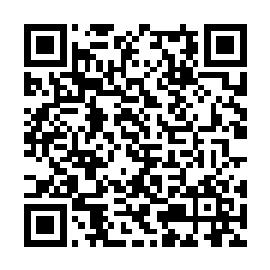 随即当他们脑中回想起天爵少爷说的最后那句话时二维码生成