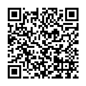 随即拿出了一片淡金色的叶子和一卷暗黄色的羊皮纸二维码生成