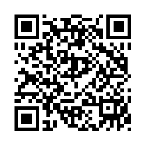 随即整个人快速地消失在了寂灭之森……二维码生成