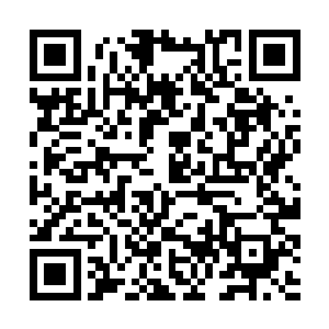 随即望着此时变成了仿佛两只小泥鳅一般的血龙之后二维码生成