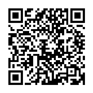 随即没有丝毫犹豫带着天狼族的余下人等朝着濂溪城外飞奔而去二维码生成