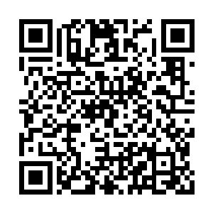 随即用于控制她的细针便轻而易举地便弹射而出二维码生成