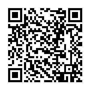 随即目光转变这位王校长身后的中年妇女和那小孩二维码生成