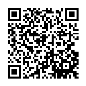 随即看了一下桌面上的筹码有些无奈的叹息着说道二维码生成