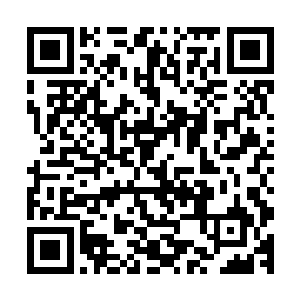 随即看到一个中年胖女人狠狠的指着一群小护士大声的叫骂着二维码生成