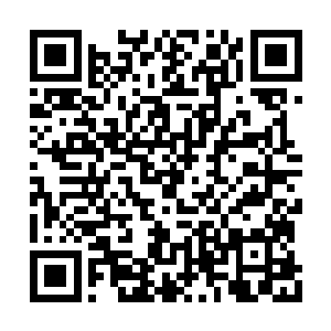 随即立刻有人为无所适从的民众们安排好了工作二维码生成