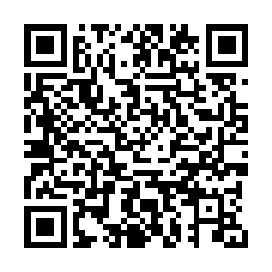 随即美目仔细的又在天道的身上停留了半响之后二维码生成