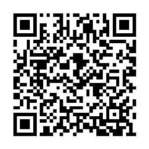 随即袁梅也是仔细的打量了一下这个脸盘和身条二维码生成