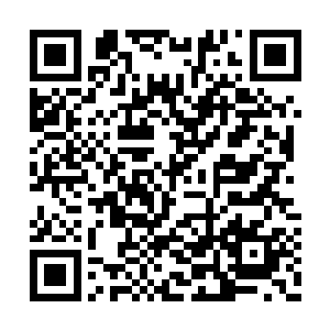 随即被斧头上那强大的反震之力震得倒飞了出去二维码生成