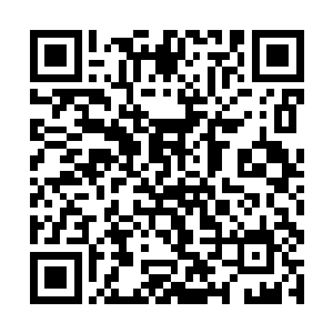 随即贾婷轩不顾一切的从观众席冲到了表演场地中央二维码生成