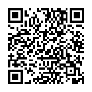 随即转头向着身旁的另一名看似有些年轻的保安招了招手二维码生成