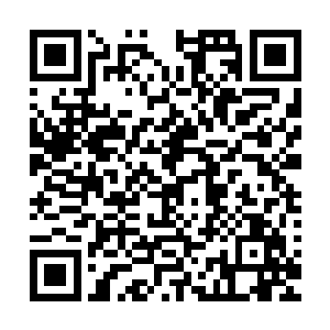 随即连忙拿出了玉瓶弄出了一滴万年石钟乳让杨啸天服了下去二维码生成