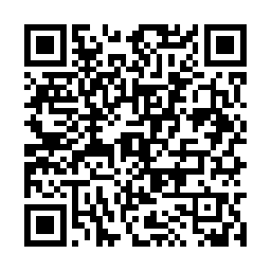 随即那本事庞大的兽躯以肉眼可见的速度变小而去二维码生成